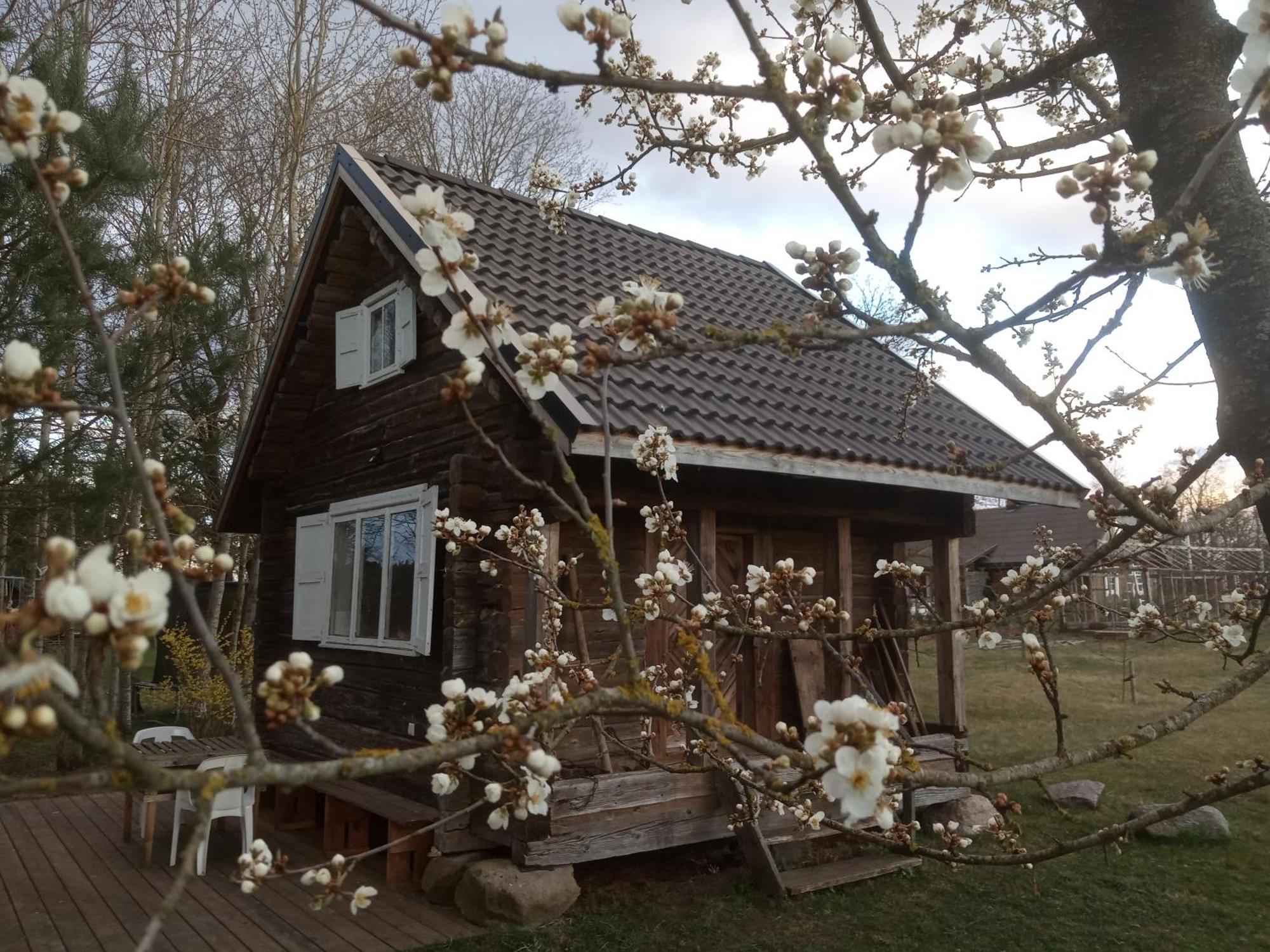 Senosios Geguzines Ukis Guest House Exterior photo